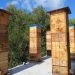 Natural Warré Beekeeping – Introduction