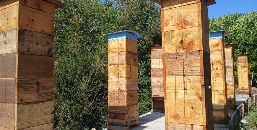 Natural Warré Beekeeping – Introduction