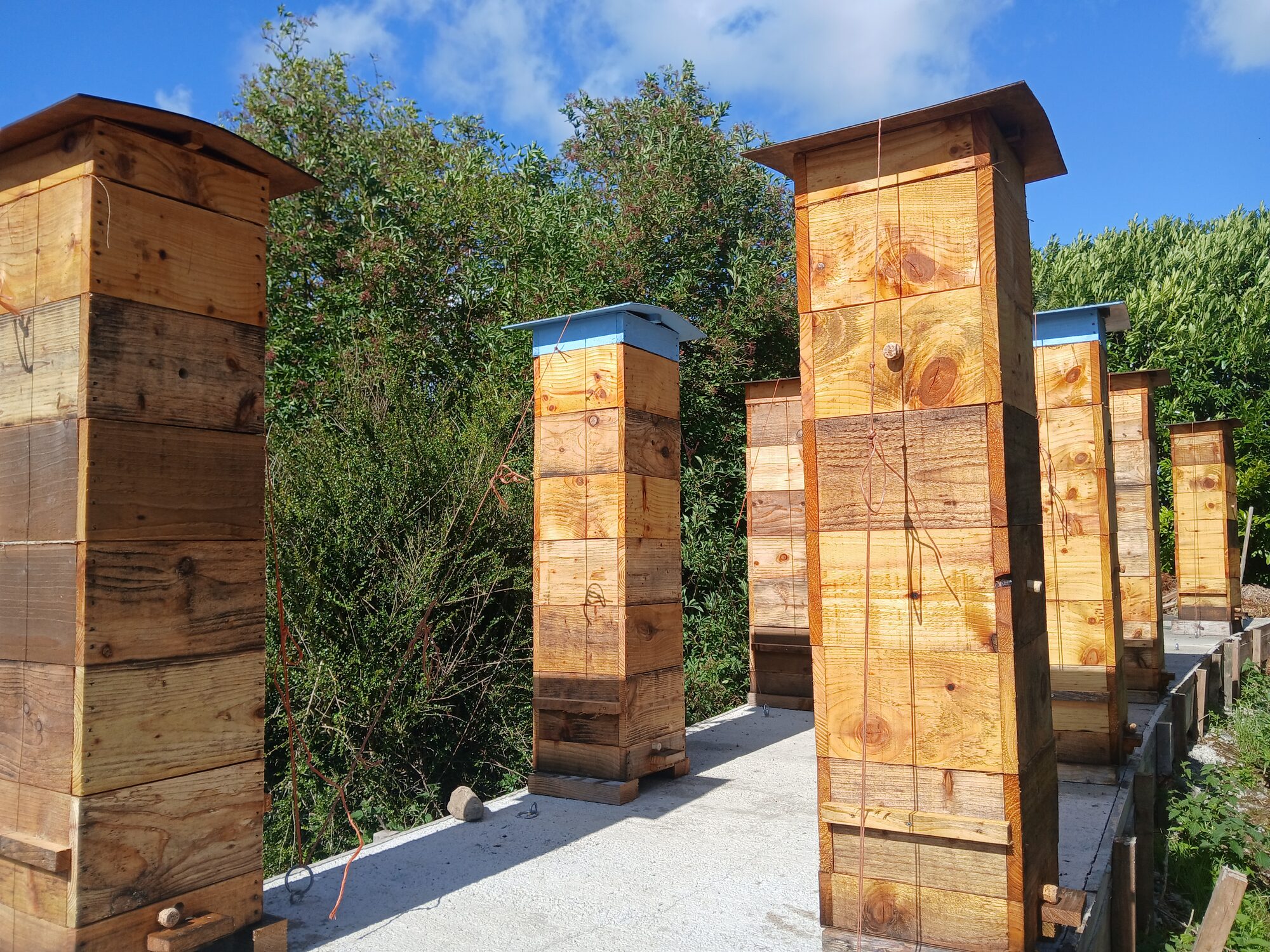 Natural Warré Beekeeping – Introduction