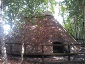 Water Reed Thatching – Free Taster