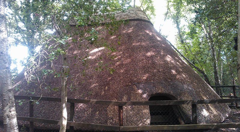 Water Reed Thatching – Free Taster