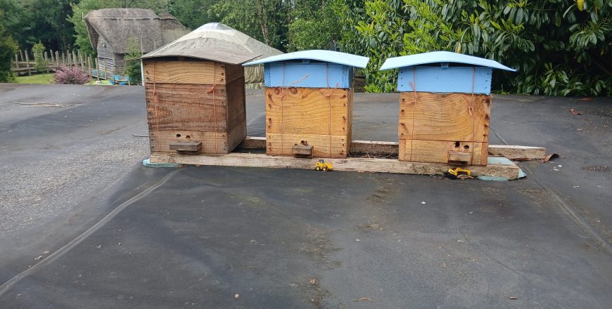 three-warre-hives-boglands