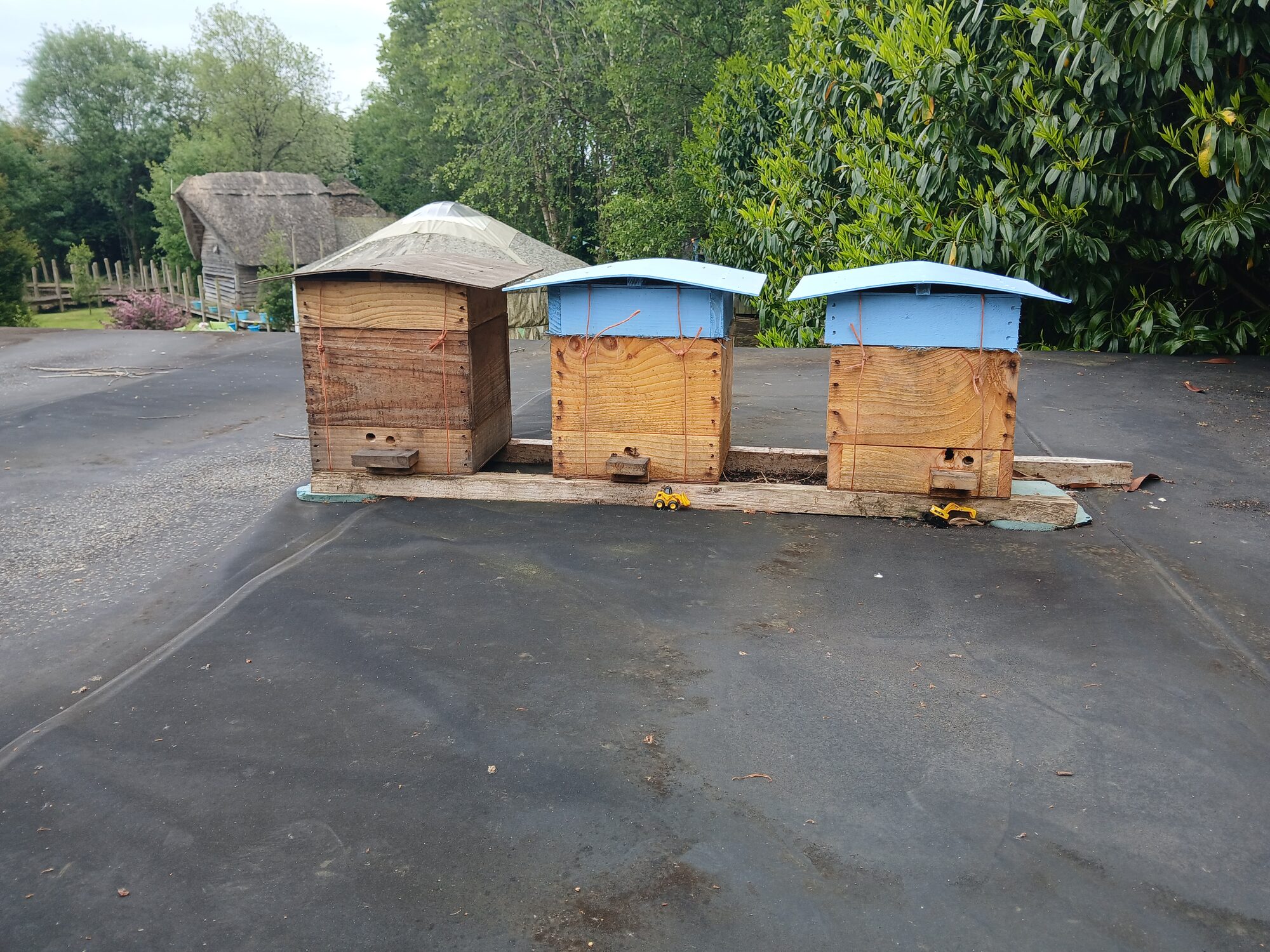 Three Warré hives with blue roofs against a blue sky