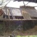 Water Reed Thatching – Introduction