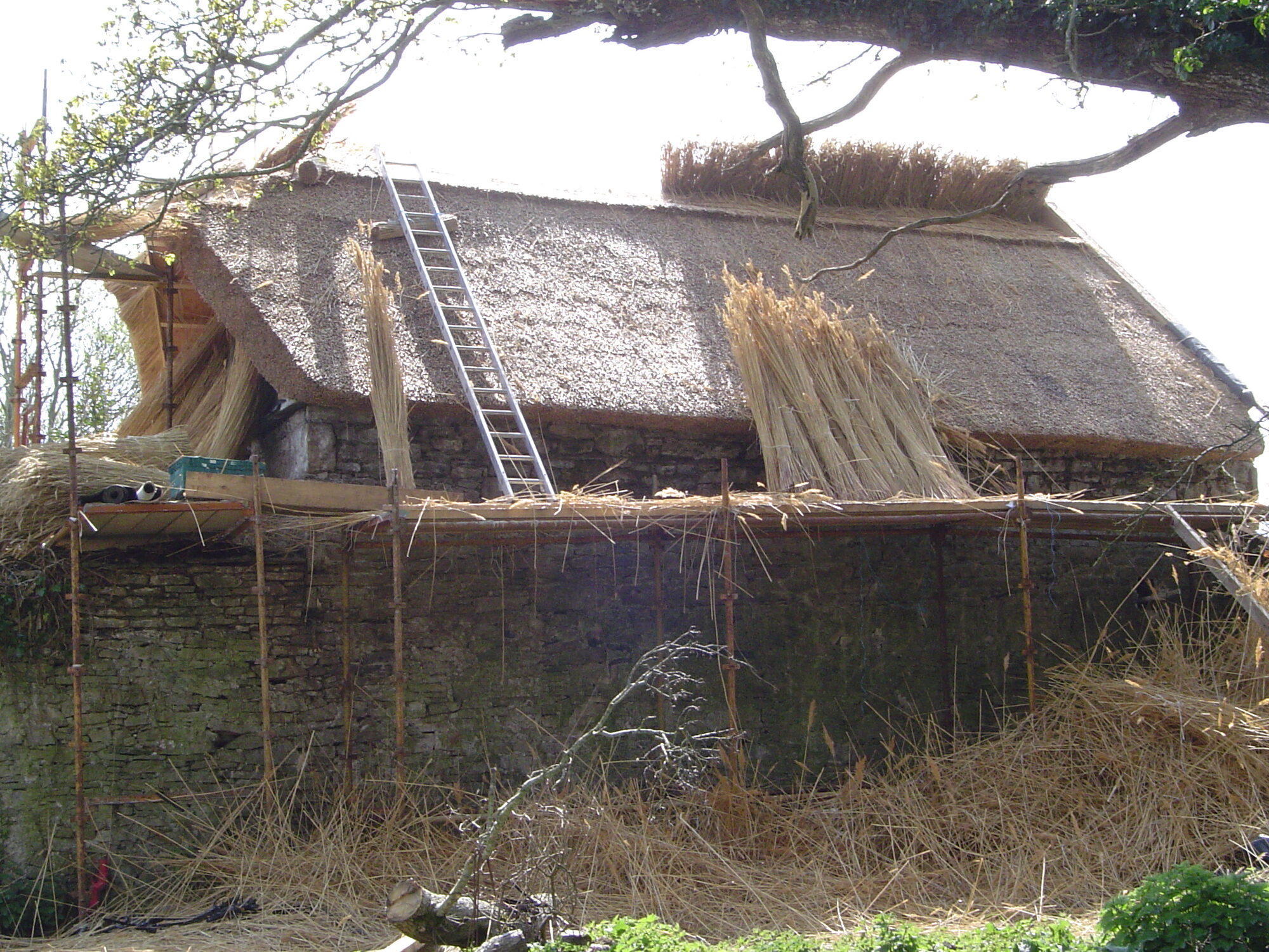 Water Reed Thatching – Introduction